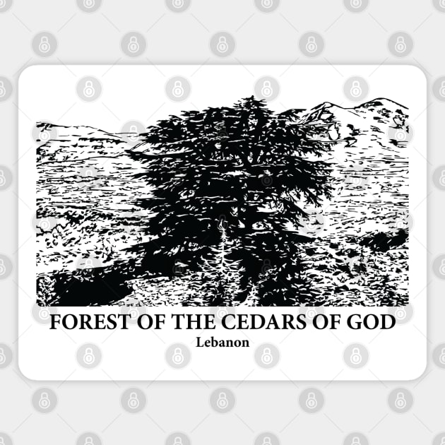 Forest of the Cedars of God - Lebanon Magnet by Lakeric